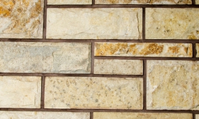 Natural Mushroom Stone - TROPICAL BEIGE