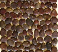 PEBBLE-RED-BROWN-BUMPY-Copy