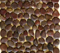 PEBBLE-RED-BROWN-BUMPY-Copy